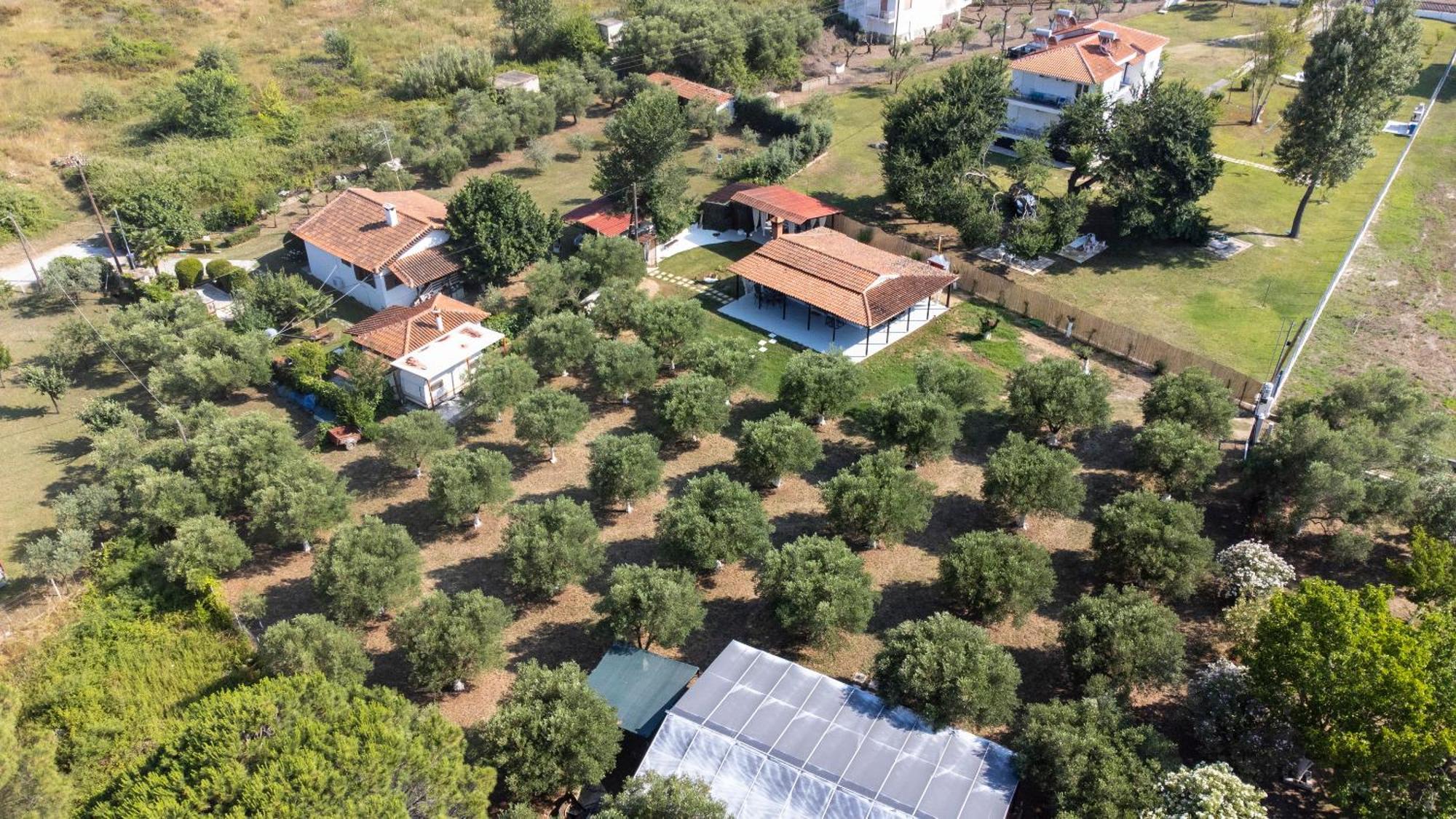 Casa Alelia Lagonisi أورموس باناجياس المظهر الخارجي الصورة